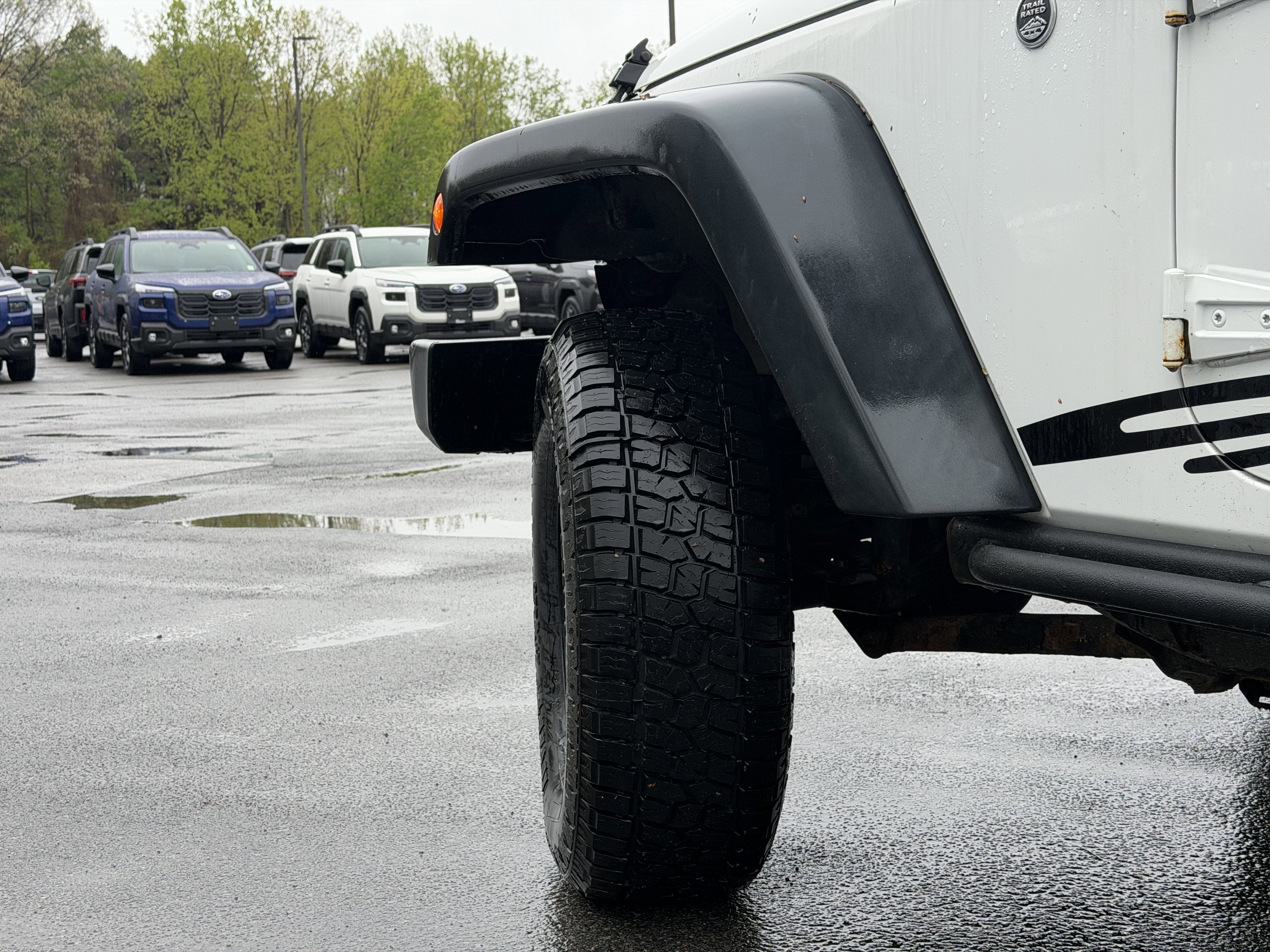 2016 Jeep Wrangler Black Bear