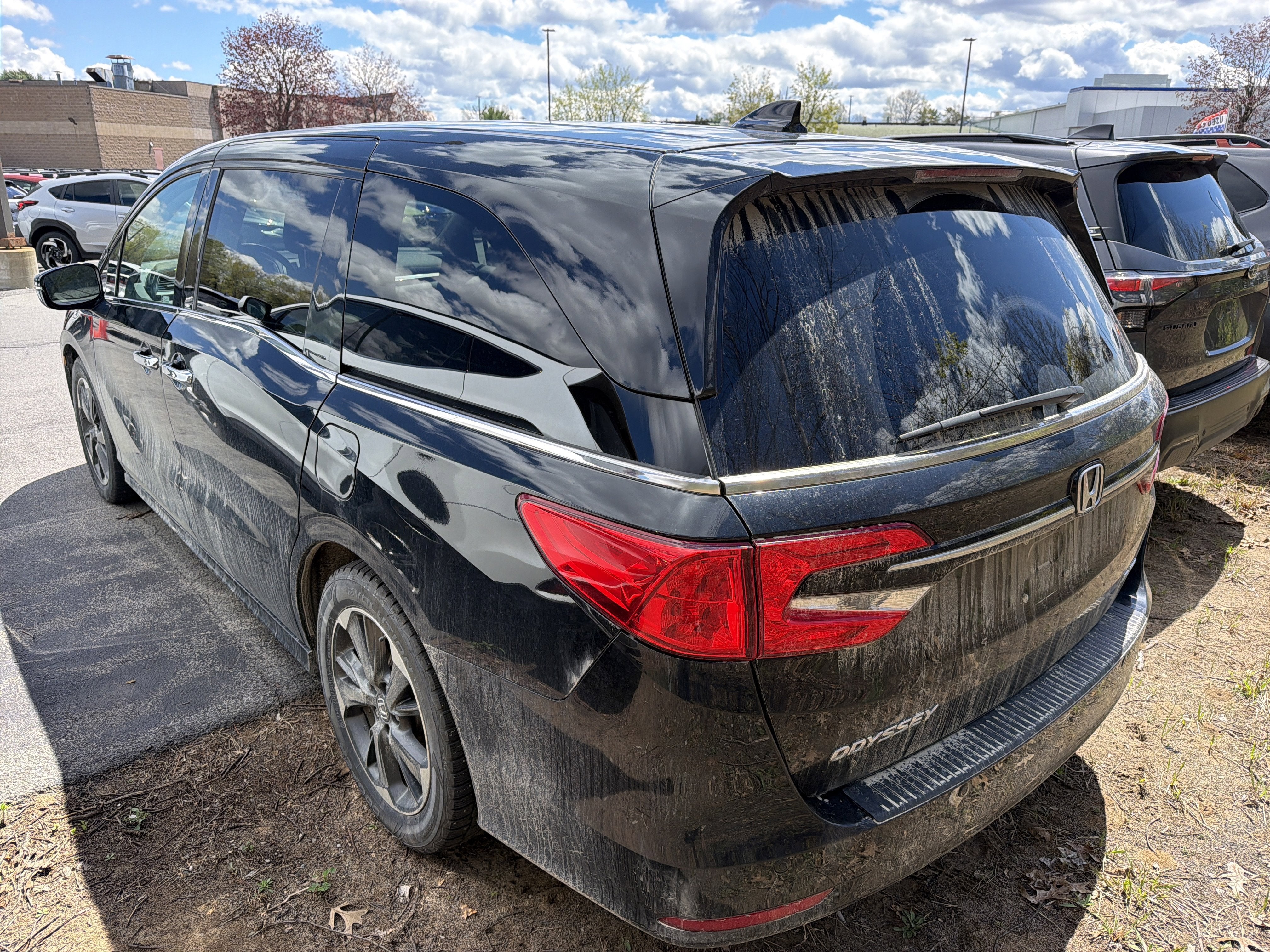 2024 Honda Odyssey Elite