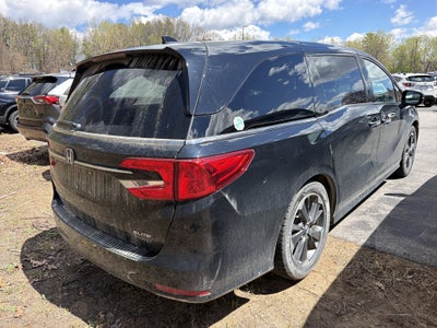 2024 Honda Odyssey Elite