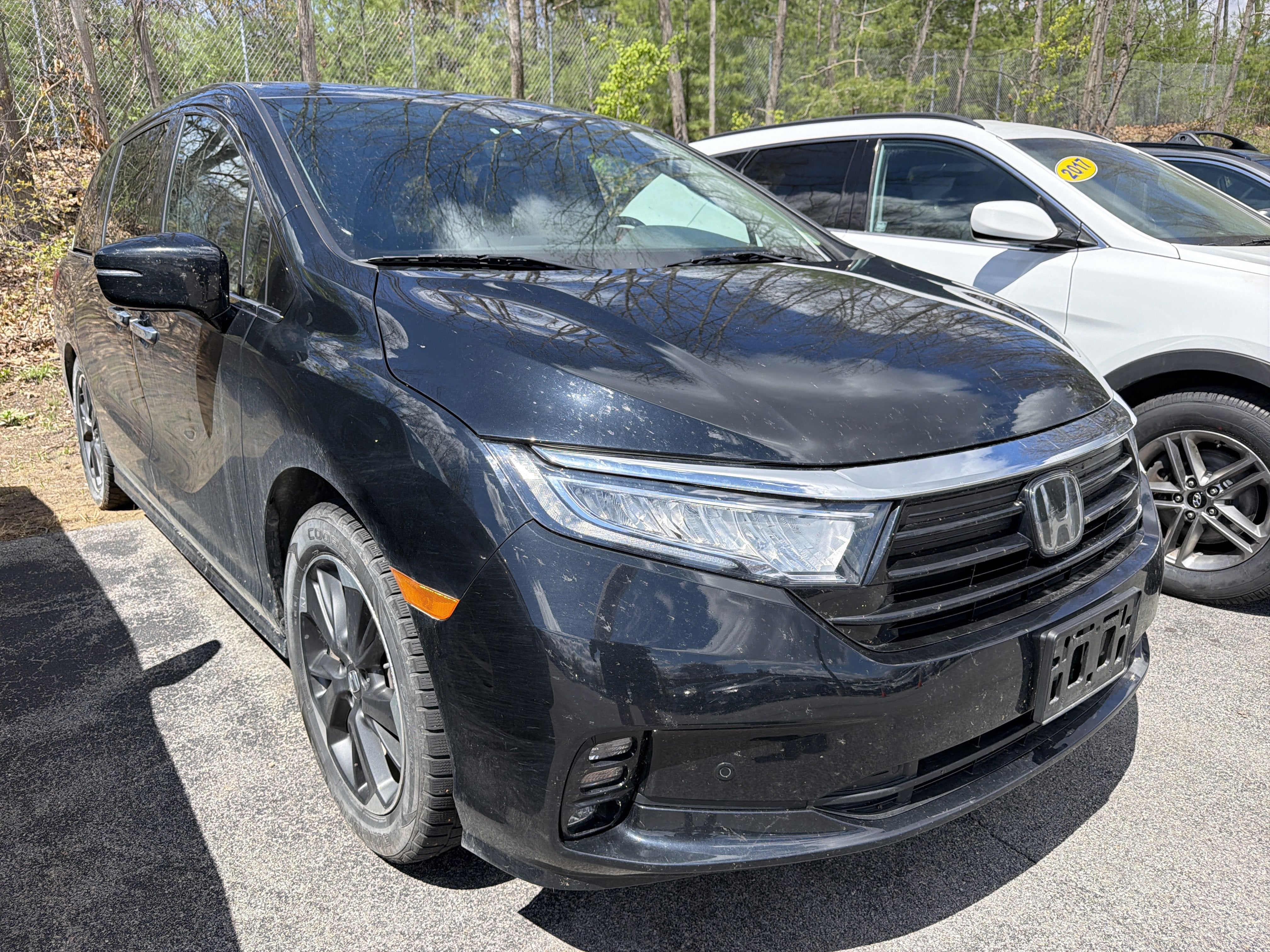 2024 Honda Odyssey Elite