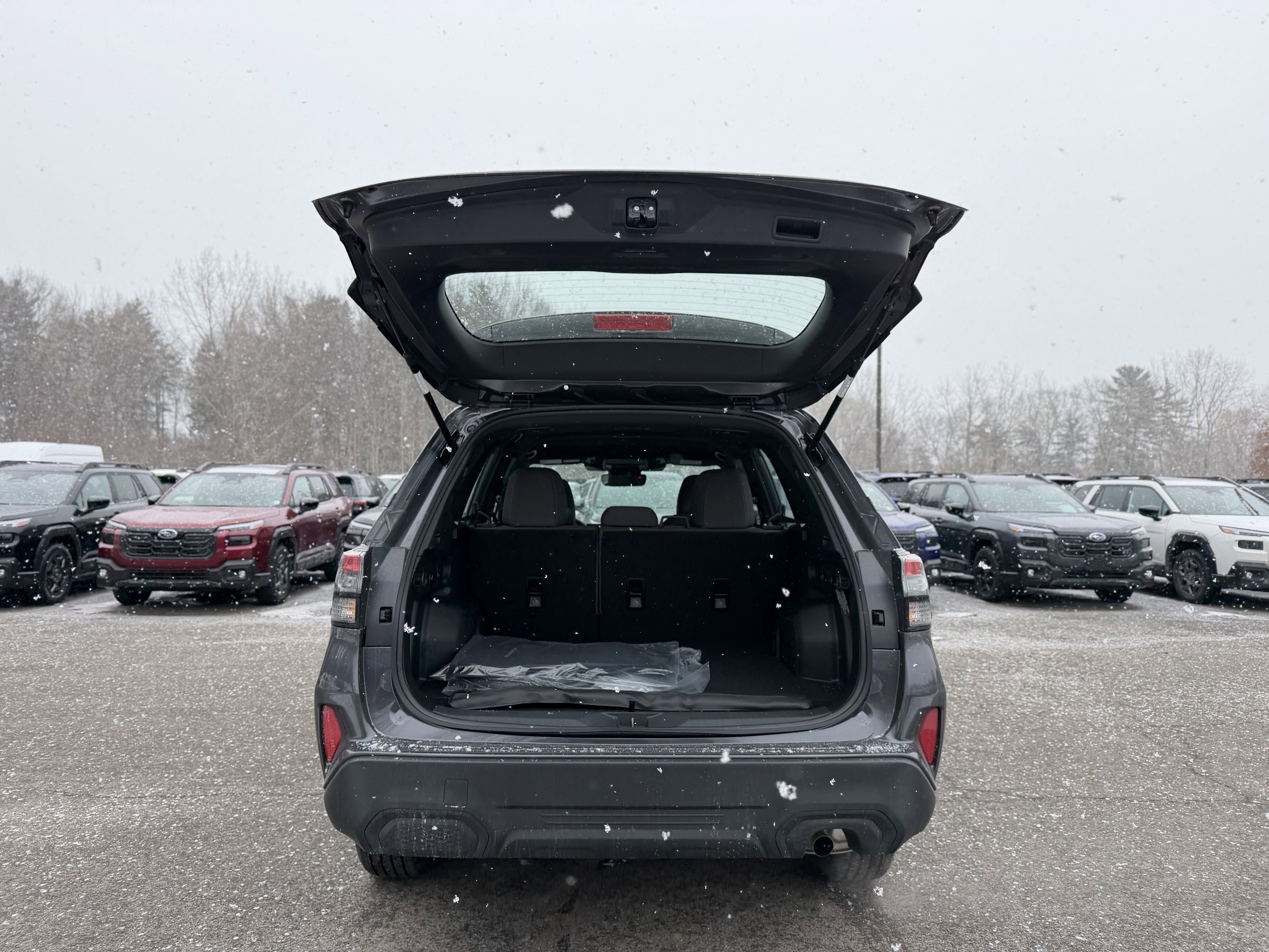 2026 Subaru FORESTER Standard Model