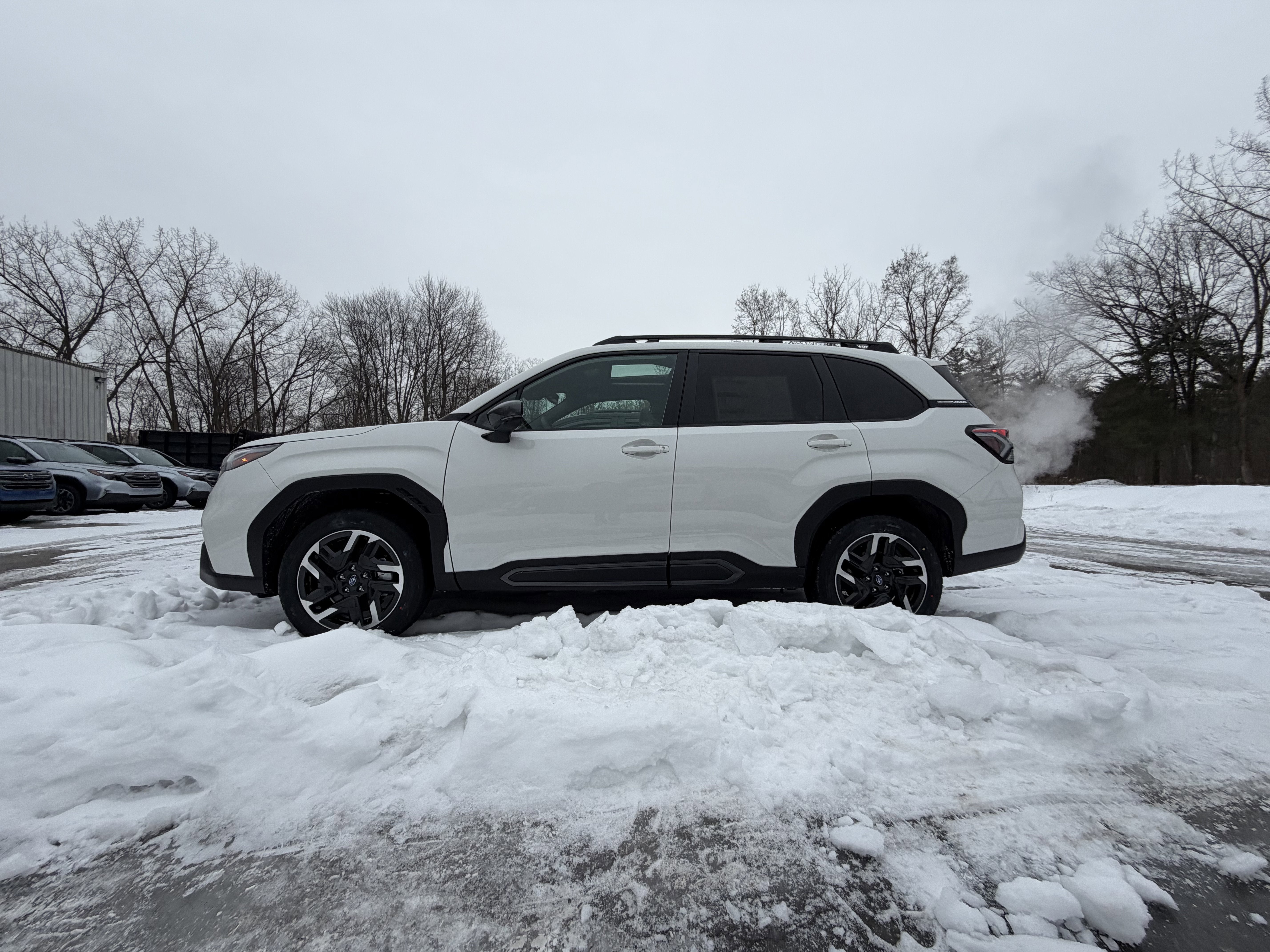 2026 Subaru FORESTER Limited