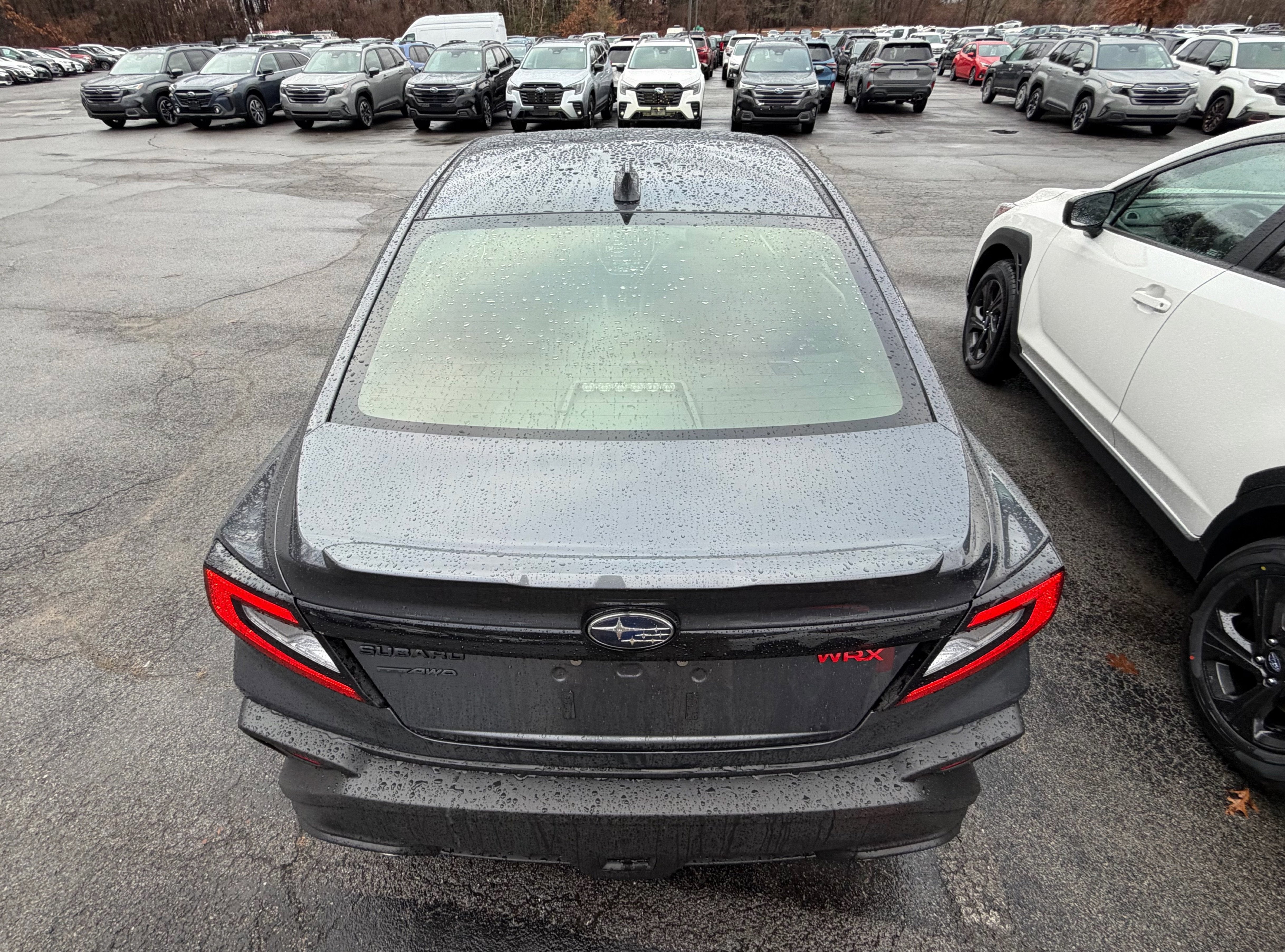 2025 Subaru WRX Premium