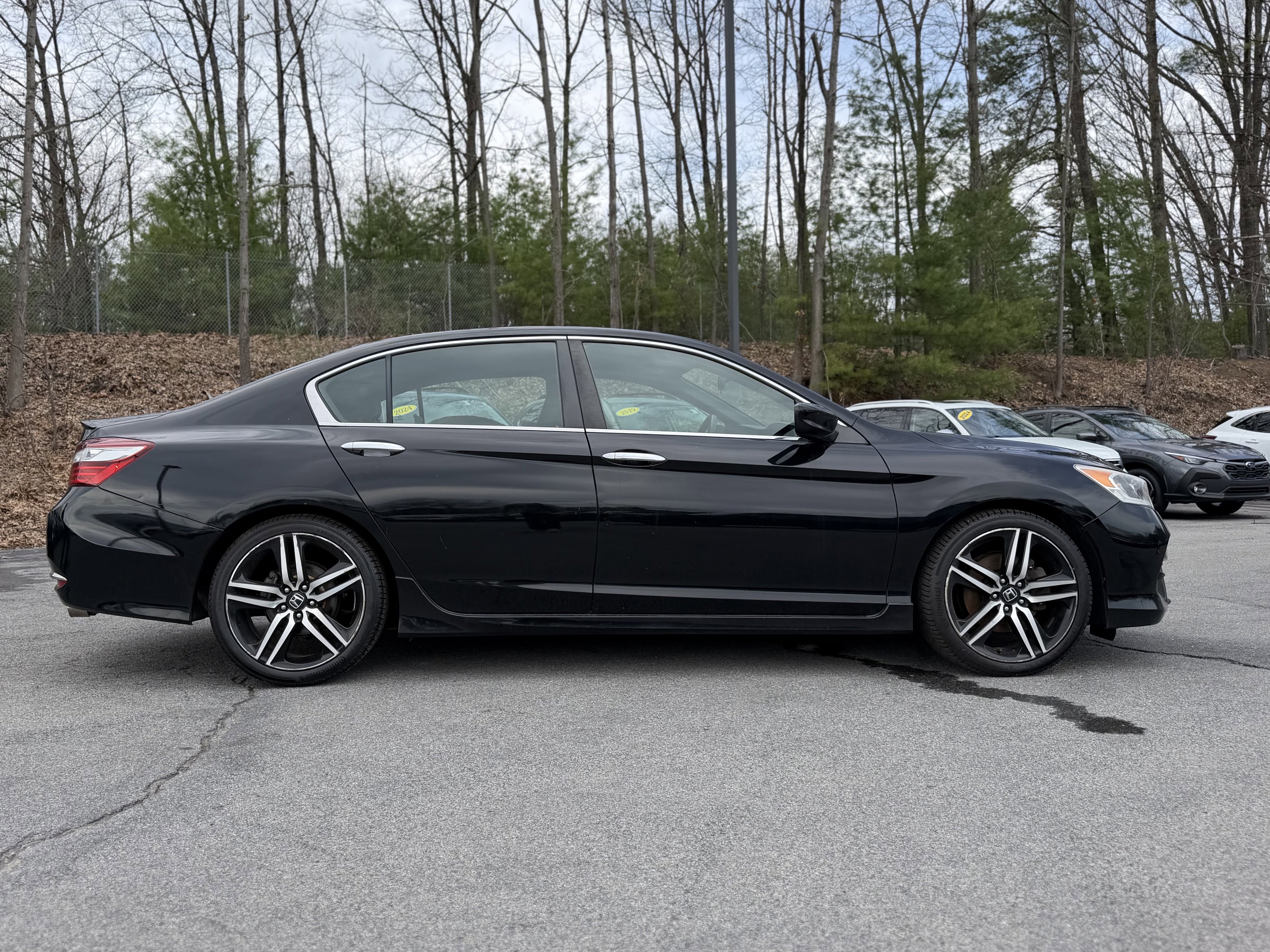 2017 Honda Accord Sport Special Edition