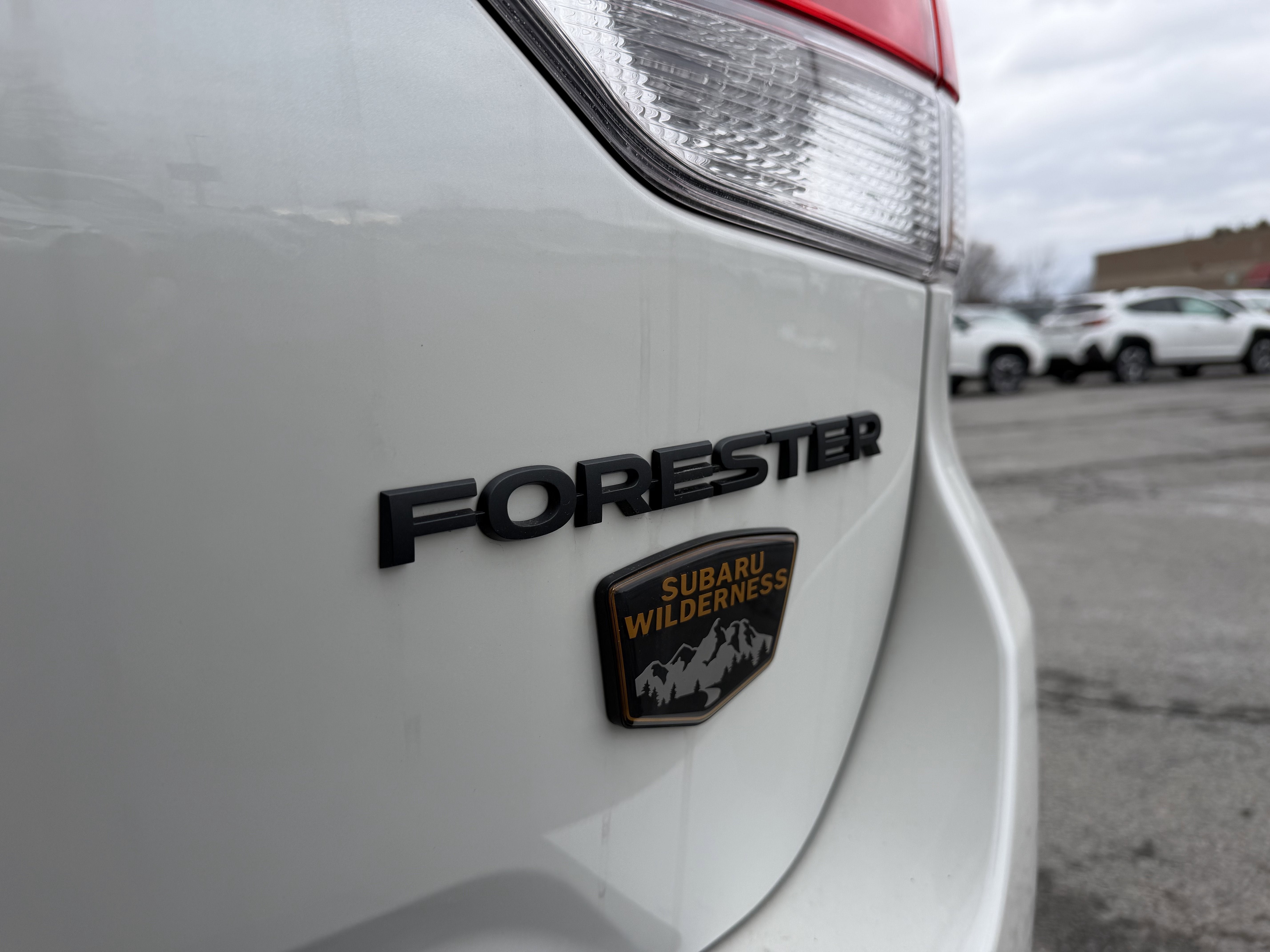 2025 Subaru Forester Wilderness