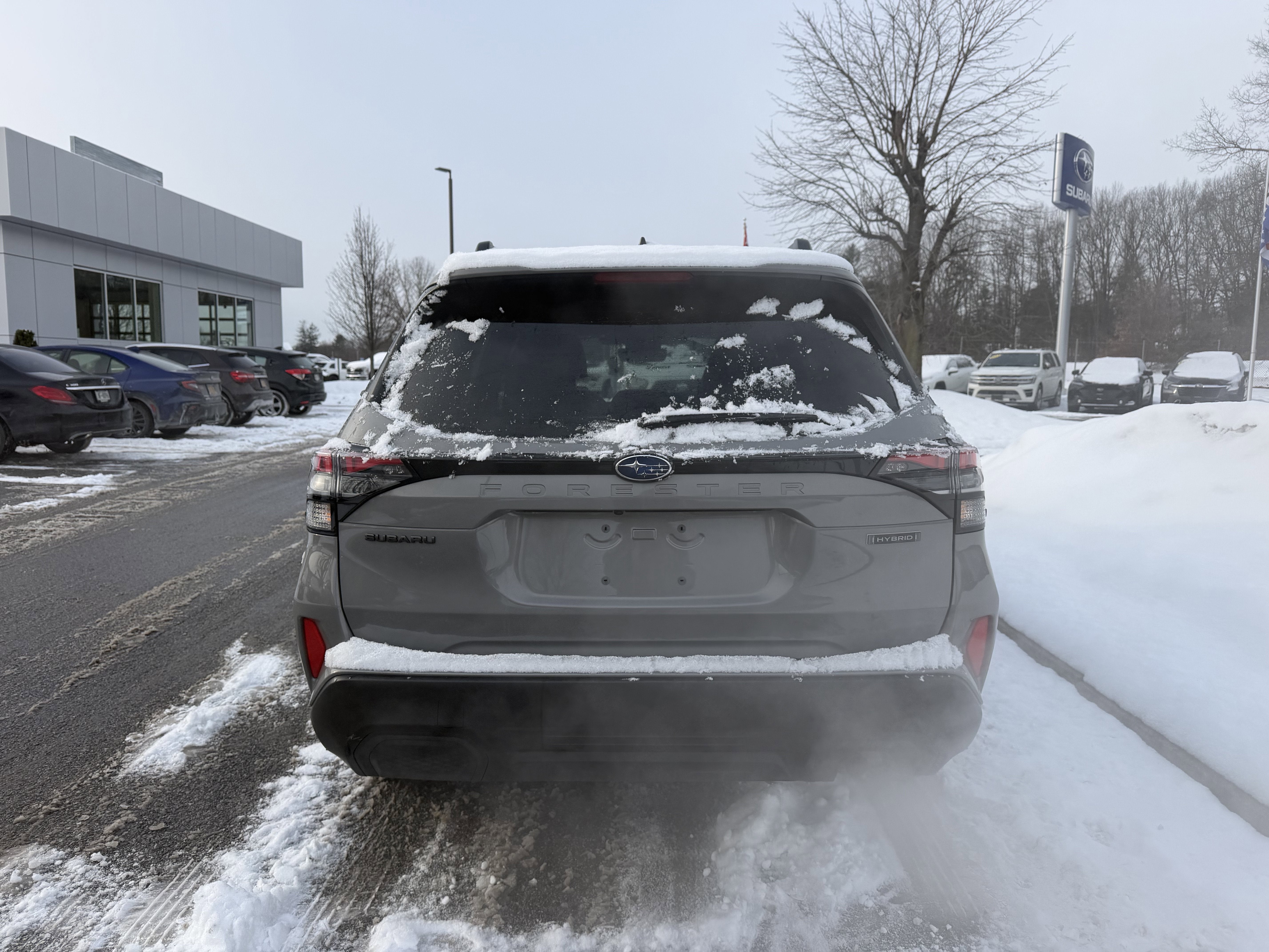 2025 Subaru Forester Hybrid Premium