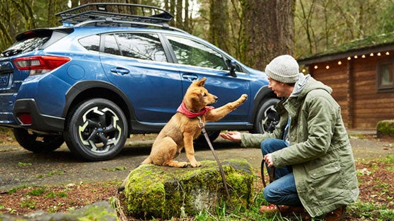 Romeo Subaru in Saratoga Springs NY