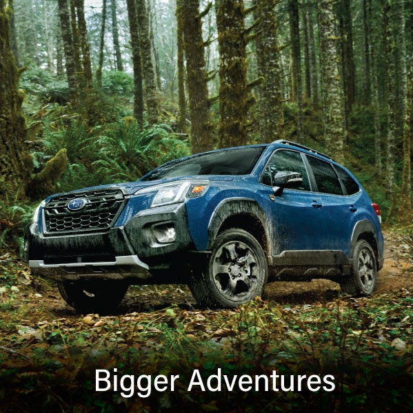 A blue Subaru outback wilderness with the words &ldquo;Bigger Adventures&ldquo;. | Romeo Subaru in Saratoga Springs NY
